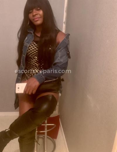Escort Hotty - Photo  4 №337